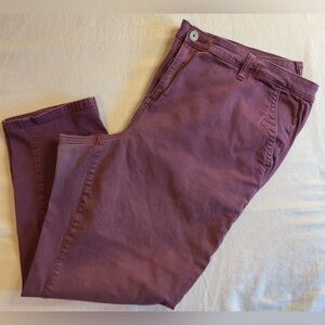 Plus Size Burgundy Casual Pants
